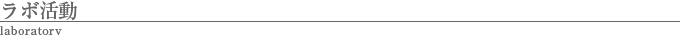 ラボ活動
